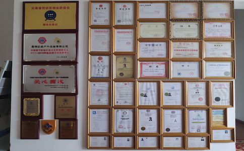 榮譽證書2